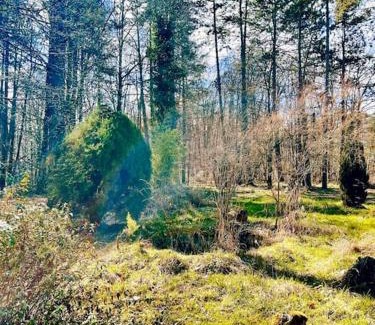 Montillot House | La maison des bois à 10 minutes de Vezelay