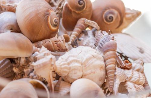 Tellaro Apartment | La maison des coquillages