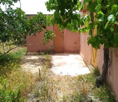 Ain Johra Other | la maison du belmokhtar Mansour