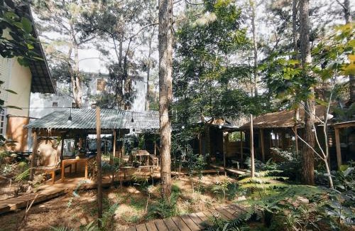 Kon Plong House | La Maison Homestay Măng Đen