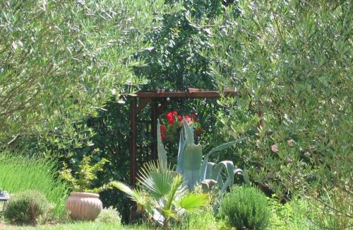 Realville Bed & Breakfast | La Maison Jaune