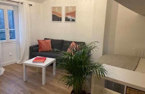 Notre-Dame Apartment | La Mansarde LCD Pontoise
