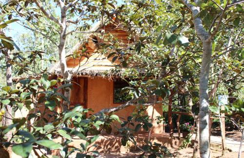 Xalisco Other | La Montaña Parque Natural