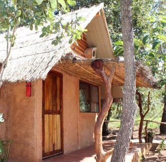 Xalisco Other | La Montaña Parque Natural