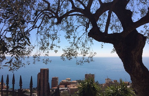 Roquebrune-Cap-Martin House | "La Palmeraie" Charming House Terraces Garden Near Mediterranean View Monaco
