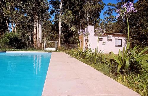 Federacion Apartment | La Pituca del Monte