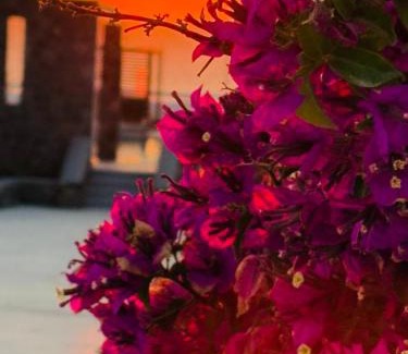 Akrotiri Hotel | La Ponta Villas & Suites