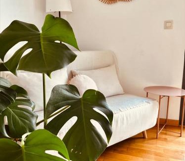 Viana House | La Puerta de Viana, con desayuno, piscina y posibilidad Visita a bodega!