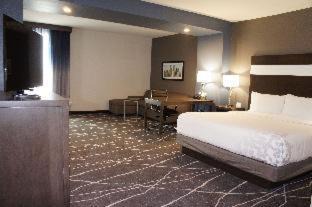 Spring Hotel | La Quinta Inn and Suites by Wyndham Houston Spring South