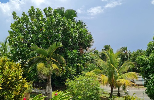 Sainte-Rose Villa | La Résidence Holiday Ecrin de Beauté à 300m de la mer