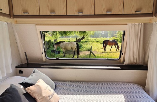 Cysoing House | La "ravane" Logement Insolite, Isolé, Nature et Chevaux Avec Brasero