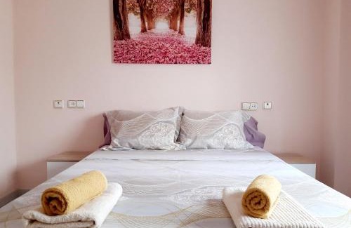 Gandia Apartment | La Rose