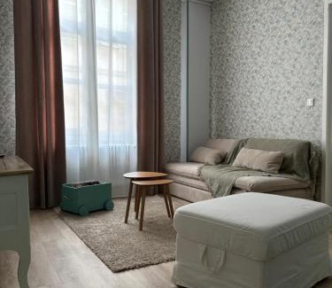 Chalons-en-Champagne Apartment | La Salle d Attente - Hyper centre