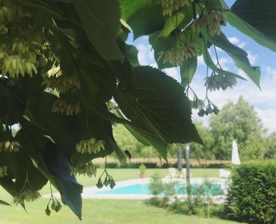 San Paolo Solbrito Bed & Breakfast | La Scuderia Charming Rooms b&b