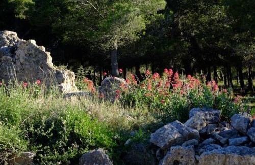 La Franqui House | La Stregheria