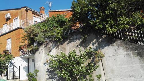 Fiumicello Santa Venere House | La terrazza al civico 20