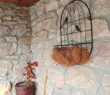 Carrena House | La Texuca