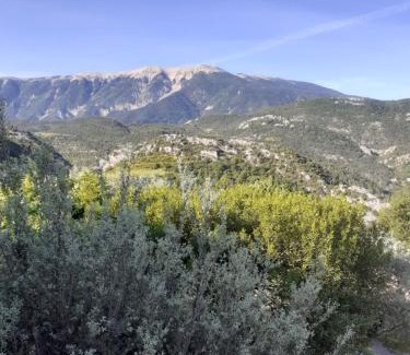 Plaisians Bed & Breakfast | La tonnelle