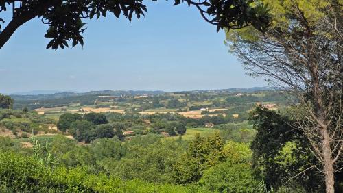 San Ruffino Apartment | La Torretta