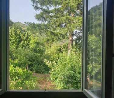 Marradi Apartment | La Veranda