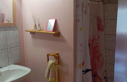 Courpiere Apartment | La vie en rose