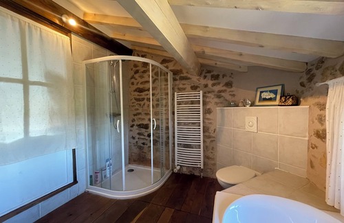 Saint-Flour Other | La Vigne: modernized farmhouse from 1882, incl. swimming pool (from August 2025)