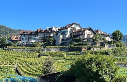 Montreux House | La Vigneronne, Tuin