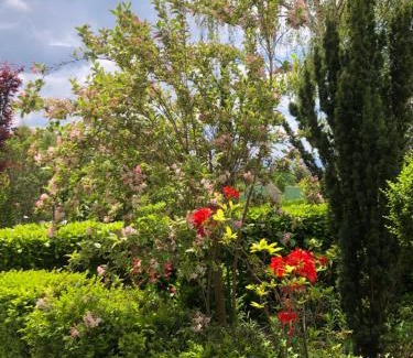 Cournon-dʼAuvergne Bed & Breakfast | La Villa Victoria Auvergne