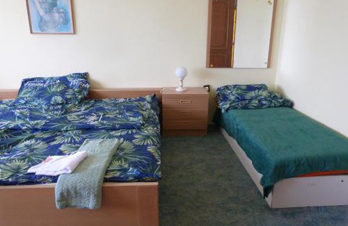 Belatelep Apartment | Labdarozsa Apartmanhouse