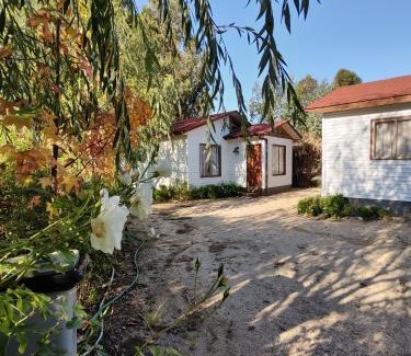Santa Cruz Apartment | "LaEmboscadapuntocl"Casas y departamentos en el huerto