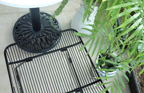Hai Chau House | Lagomhomestaystylish3BRs