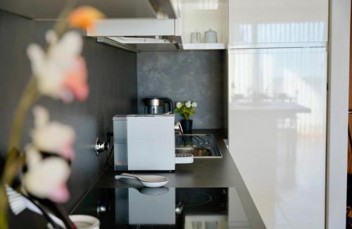 Lugano Apartment | Lagoon 313