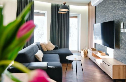gmina odygowice Apartment | Laguna Beskidów Resort - Apartament A2