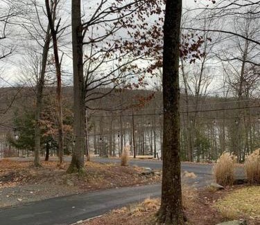 Greentown Ski Chalet | Lake Access with a View! Lake Wallenpaupack .