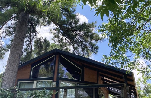 Willis House | Lake Conroe Treehouse, firepit, kayaks, secluded, Lake Conroe
