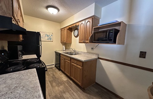 Eagle River Condo | Lake Forest Resort – Relax on a Pristine Sandy Beach in the Northwoods!