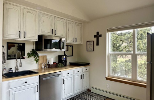 Spring Valley House | Lake front property, Pikes Peak view from living room, hot tub