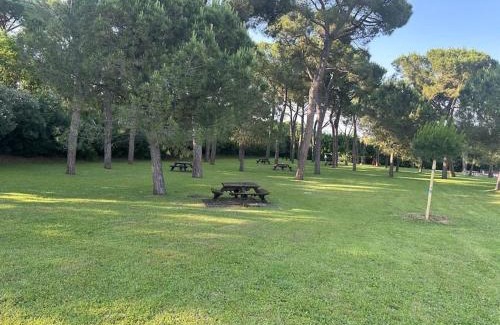 Padenghe sul Garda Apartment | Lake Oasis with Pool OLD
