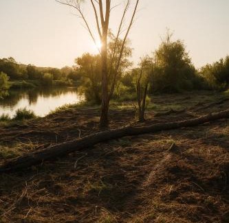 Hibiscus Coast Other | Lake side Caravan site - 1500 square meters of nature & private fishing