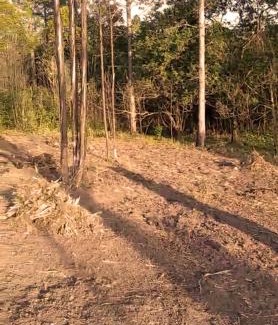 Hibiscus Coast Other | Lake side Caravan site - 1500 square meters of nature & private fishing