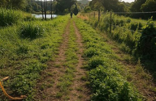 Hibiscus Coast Other | Lake side Caravan site - 1500 square meters of nature & private fishing