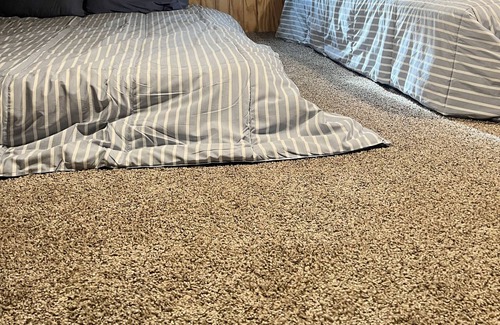 Somerville Cabin | Lake Somerville Cabin~ Pet Friendly~ Minutes from Lake!