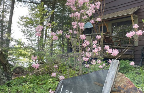 Pittsfield Cottage | Lakefront cottage on serene NH lake! Swim, kayak, fish, and enjoy nature.