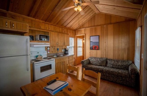 Cadiz Ski Chalet | Lakefront Cozy Chalet 2 - Bring the Dog