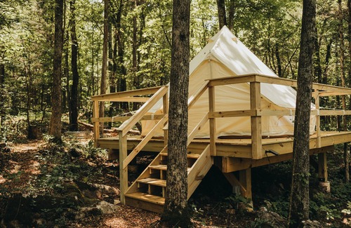 Mooresburg Resort | Lakefront Glamping Resort Cherokee Lake Tennessee Site 4