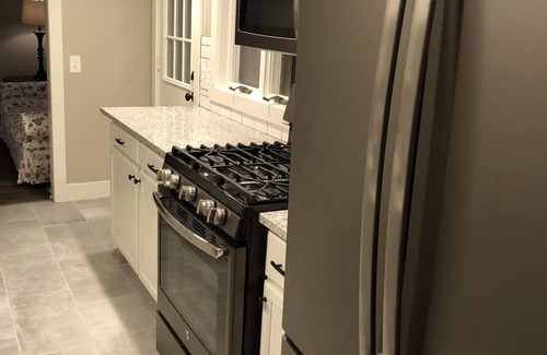 Lake Odessa House | Lakefront property with A/C sleeps 8 with onsite pontoon available to rent.