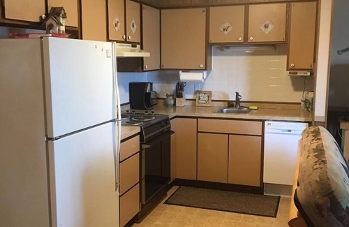 Annandale Condo | Lakeshore Condominium Cabin on Clearwater Lake