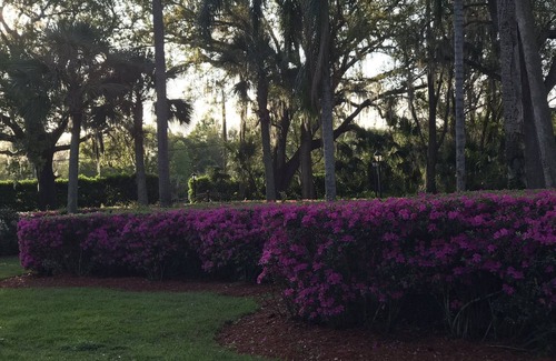 Sanford House | Lakeside and Beautiful