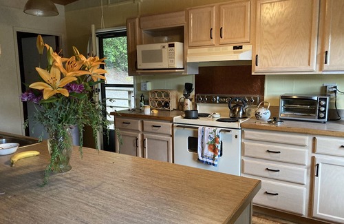Florence Cabin | Lakeside cabin on the Central Oregon Coast