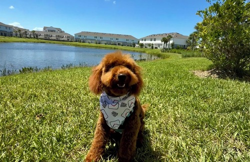 Laurel House | Lakeview Escape – Pool 7 min to Nokomis Beach